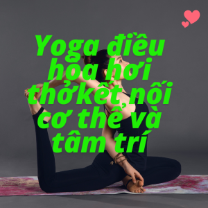 Tại sao bạn có thể sở hữu một cơ thể khỏe mạnh và tinh thần minh mẫn chỉ sau vài tháng tập Yoga?