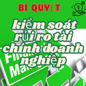 Đây rồi! Bí quyết kiểm soát rủi ro tài chính và bảo vệ doanh nghiệp của bạn hiệu quả chỉ trong 2 tháng!